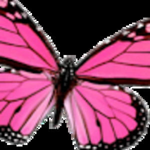 Meet your Posher, Millicent